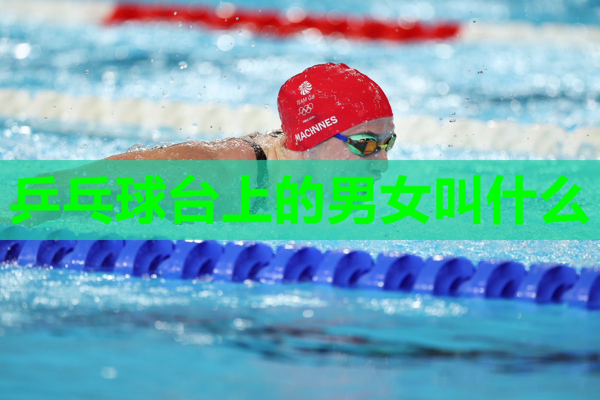 乒乓球台上的男女叫什么