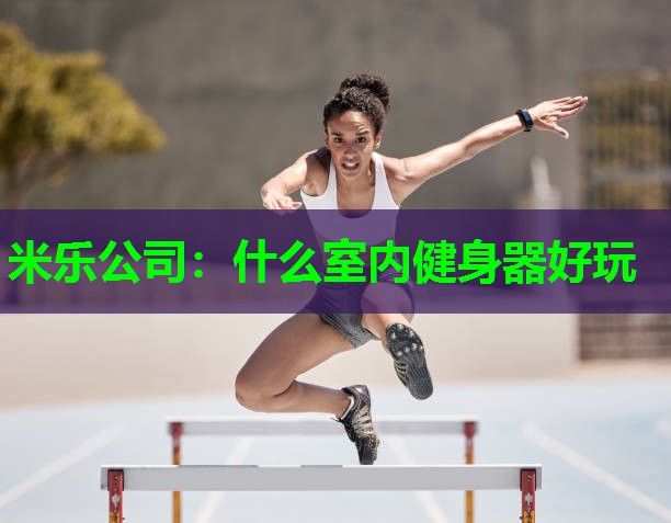 米乐公司:什么室内健身器好玩