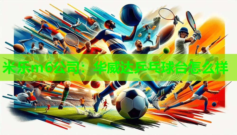 米乐m6公司:华威达乒乓球台怎么样